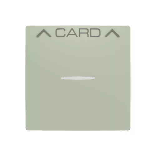 ABB Fedlap kártyakapcsolóhoz, Zoni, olíva 3559T-A00700 243, 2CHT590700A4243