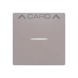   ABB Fedlap kártyakapcsolóhoz, Zoni, bézs 3559T-A00700 244, 2CHT590700A4244