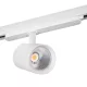 Kanlux 33136 ACORD ATL1 30W-940-S6-W lámpa, COB LED lápatest sínre, fehér TEAR