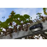 LUTEC ARROW Kültéri fali napelemes mozgásérzékelős LED lámpa 2W 5000K 180lm IP44 6910601335