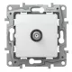 Legrand Niloé TV aljzat, átmenő (14 dB), fehér Legrand 764552