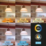BRY-PREMIUM-13,5W-E27-A65-5IN1-LED BULB