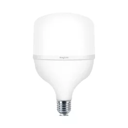 BRY-PREMIUM-18W-E27-T80-6500K-LED BULB
