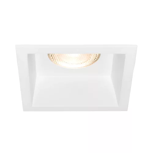 BRY-TETRA-CF-SQR-WHT-SPOTLIGHT