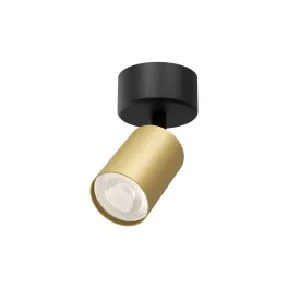 BRY-BETA-SRD_1-GLD-GU10-SPOTLIGHT