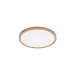 BRY-JADE-SLR-WDN-RND-20W-3IN1-CEILING LIGHT