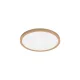 BRY-JADE-SLR-WDN-RND-20W-3IN1-CEILING LIGHT