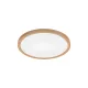 BRY-JADE-SLR-WDN-RND-26W-3IN1-CEILING LIGHT