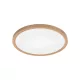 BRY-JADE-SLR-WDN-RND-36W-3IN1-CEILING LIGHT