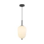 BRY-S011R-1H-1xE14-OPL-BLC-PENDANT LIGHT