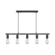 BRY-G006S-5H-5xE27-BLC-PENDANT LIGHT