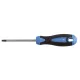 Högert TORX csavarhúzó hatszögű, T15, S2 acél, 100 mm HT1S054