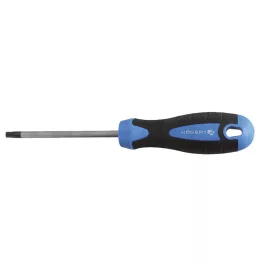   Högert TORX csavarhúzó hatszögű, T20, S2 acél, 100 mm HT1S055