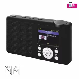   SAL INR 3000 internetrádió, 4 in 1, 2 W hangszóró, világrádió, FM RDS, BT, Média Center hálózati zenetár, EQ, INR_3000
