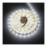 LED COMFORT 300 2835 IP20 6200K 5M 9W/M