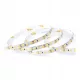 LED COMFORT 300 2835 IP20 4000K 5M 14W/M