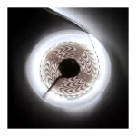 LED COMFORT 300 2835 IP20 4000K 5M 14W/M