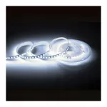 LED COMFORT 300 2835 IP20 6000K 5M 14W/M