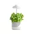 LED növénynevelő lámpa LED VERDI 5W 3200K Kobi Design KOBI-001457 SpectrumLED