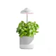 LED növénynevelő lámpa LED VERDI 5W 3200K Kobi Design KOBI-001457 SpectrumLED