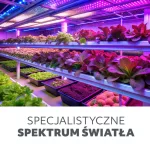 LED növénynevelő lámpa LED VERDI 5W 3200K Kobi Design KOBI-001457 SpectrumLED