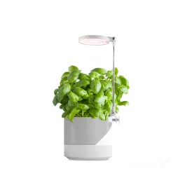   LED növénynevelő lámpa LED VERDI 10W 3200K Kobi Design KOBI-001458 KOBI
