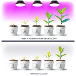 E27 Növénynevelő LED-fényforrás, 9 W, Meleg fehér WW 1200K 300lm, KOBI-001505 KOBI