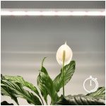 LED növénynevelő lámpa LED GROWLY 15W – Kobi Design KOBI-001510 SpectrumLED