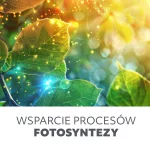 LED növénynevelő lámpa LED VITARO 4 csiptetős 10W – Kobi Design KOBI-001514 KOBI
