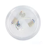 Ceiling lamp ROMERO 2xE27 black Kobi KOBI-001944 SpectrumLED