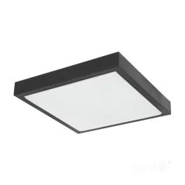Ceiling lamp SAMIRA S 2xE27 black Kobi KOBI-001952 KOBI