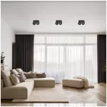 Ceiling lamp LAHTI mini dim 2x9W 3000K czarna Art of Light KOBI-002137 SpectrumLED