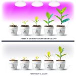 E27 Növénynevelő LED-fényforrás, 7 W, Meleg fehér WW 1200K 185lm, KOBI-004012 KOBI