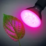E27 Növénynevelő LED-fényforrás, 7 W, Meleg fehér WW 1200K 150lm, KOBI-004013 SpectrumLED