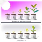 E27 Növénynevelő LED-fényforrás, 11 W, Meleg fehér WW 1200K 285lm, KOBI-004014 KOBI