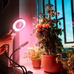 LED növénynevelő lámpa LED VITARO RING 2 csiptetős 8W – Kobi Design KOBI-004015 KOBI