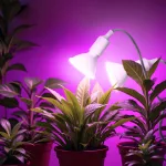 LED növénynevelő lámpa LED PLANTY CLIP W DUO 1xE27 white Kobi Design KOBI-004017 SpectrumLED