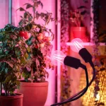 LED növénynevelő lámpa LED PLANTY CLIP W DUO 1xE27 black Kobi Design KOBI-004018 KOBI