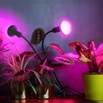 LED növénynevelő lámpa LED PLANTY CLIP W DUO 1xE27 black Kobi Design KOBI-004018 KOBI