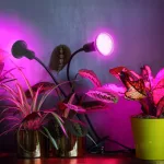 LED növénynevelő lámpa LED PLANTY CLIP W DUO 1xE27 black Kobi Design KOBI-004018 KOBI