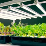 LED növénynevelő lámpa LED GROWLY 9W – Kobi Design KOBI-004019 KOBI