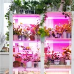 LED növénynevelő lámpa LED GROWLY 2×8,5W – Kobi Design KOBI-004021 KOBI
