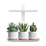 LED növénynevelő lámpa LED BLOOM 12W 4500K Kobi Design KOBI-004319 SpectrumLED