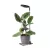 LED növénynevelő lámpa LED VERDI V2 5W 1300K Kobi Design fekete KOBI-004321 KOBI