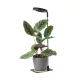 LED növénynevelő lámpa LED VERDI V2 5W 1300K Kobi Design fekete KOBI-004321 KOBI