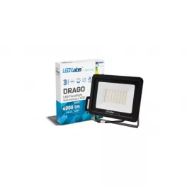   DRAGO LED-reflektor, 90°, IP65, 50 W, Természetes fehér, fekete LAB-17-0000-10 LED Labs
