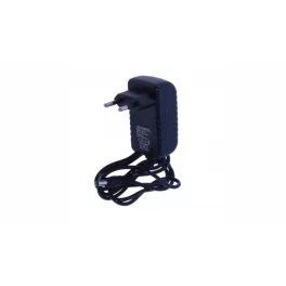 24W 12V DC 2.1x5.5 IP20 plug-in power adapter