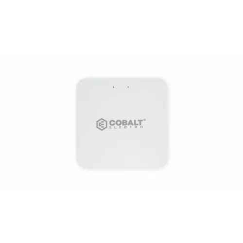 COBALT ELECTRO CS-ZB-G gateway