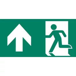   Mounting accessories CLARENTO - arrow up L person P AAE100 for emergency evacuation light