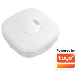 MERRYTEK on/off 120/277Vac, TUYA ZigBee, surface-mounted